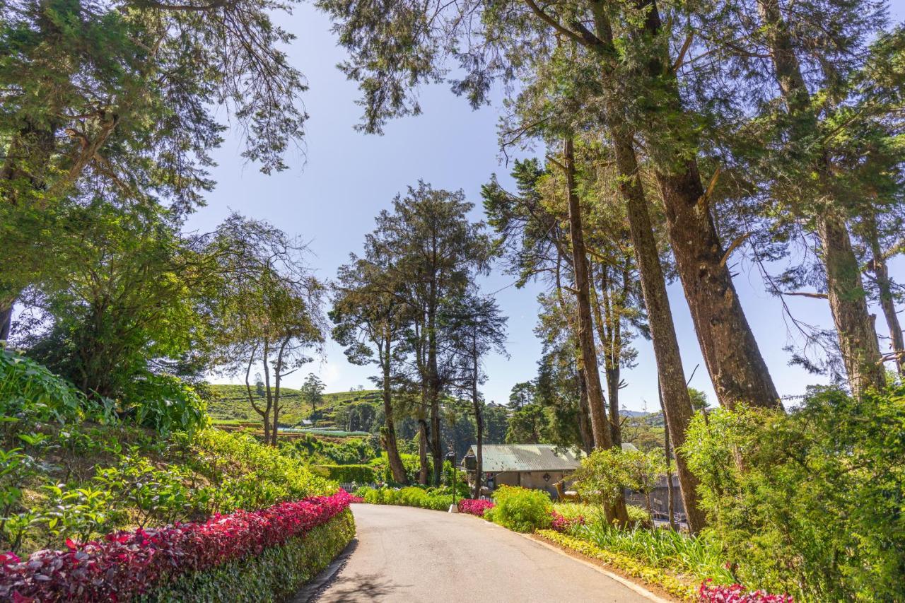 Mirage Kings Cottage Nuwara Eliya Exterior foto